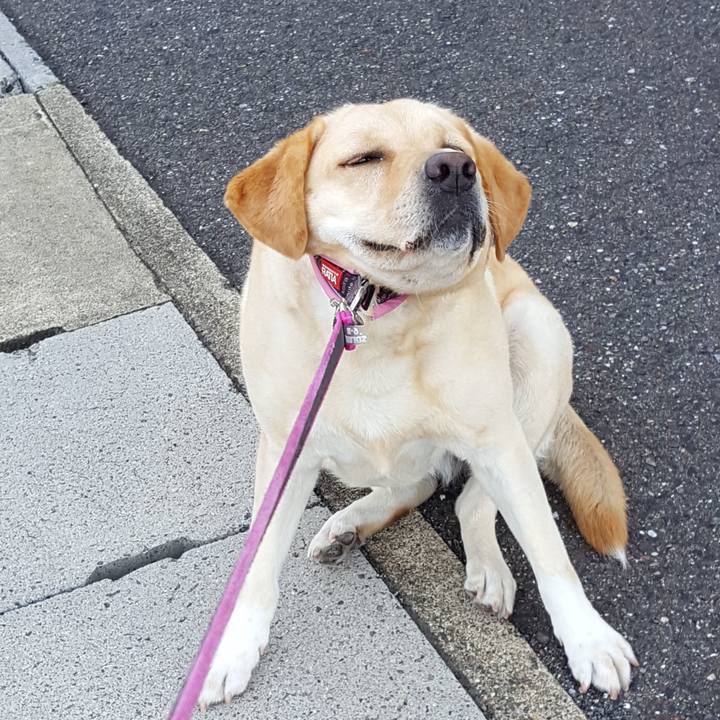 50c75f0c 4c07 42f9 bf5d ed6f94e00408