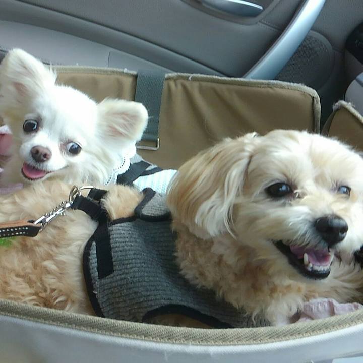 50c7a1f1 d900 4972 a530 216abeeae4b6