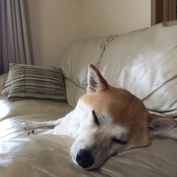 50c7f414 a968 4102 9ae2 fc4ae4a43b81