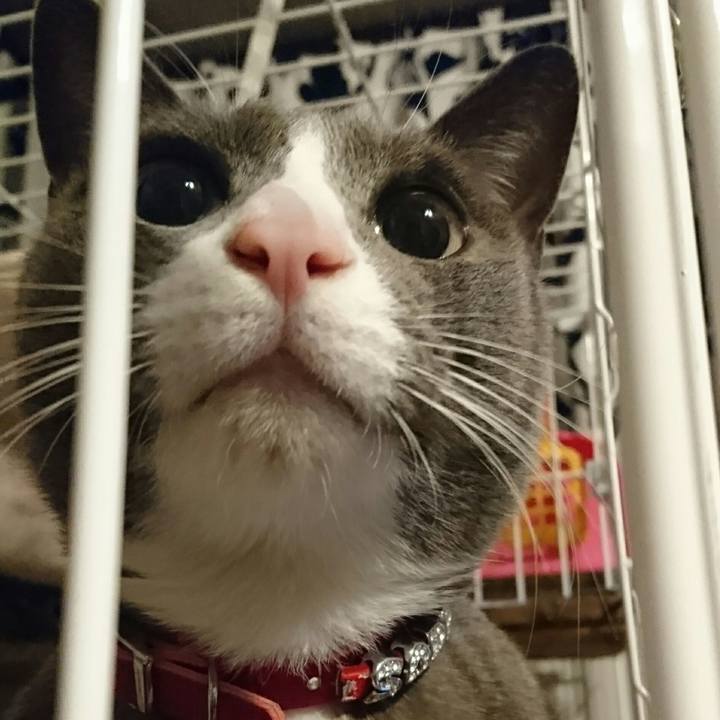 50c8ce95 f0f5 42fd b520 7a298d49ba9a