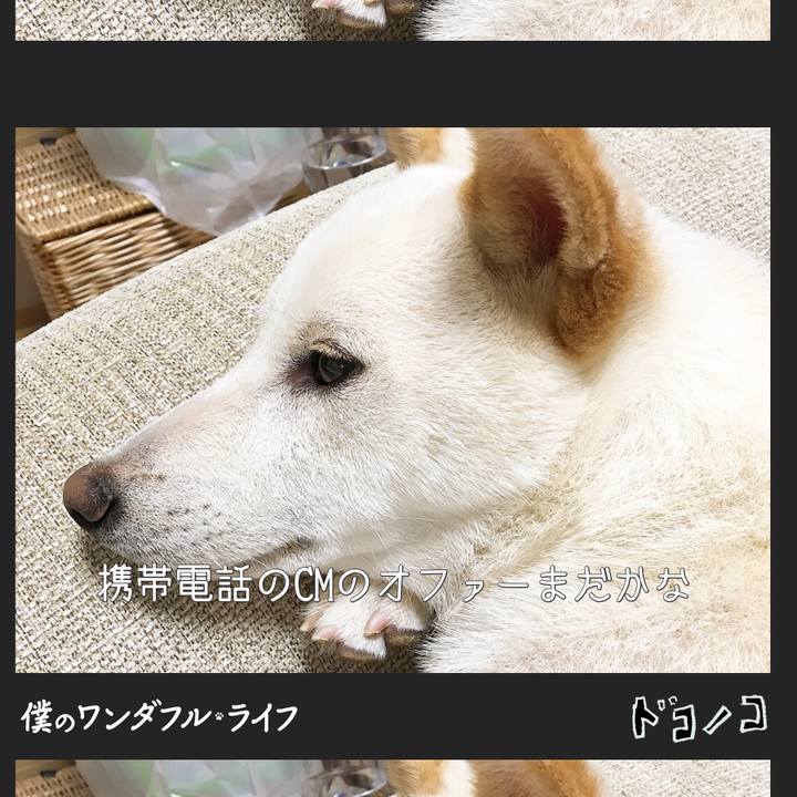 50c8e39d 9875 4dab b69c 01554bf59a2a