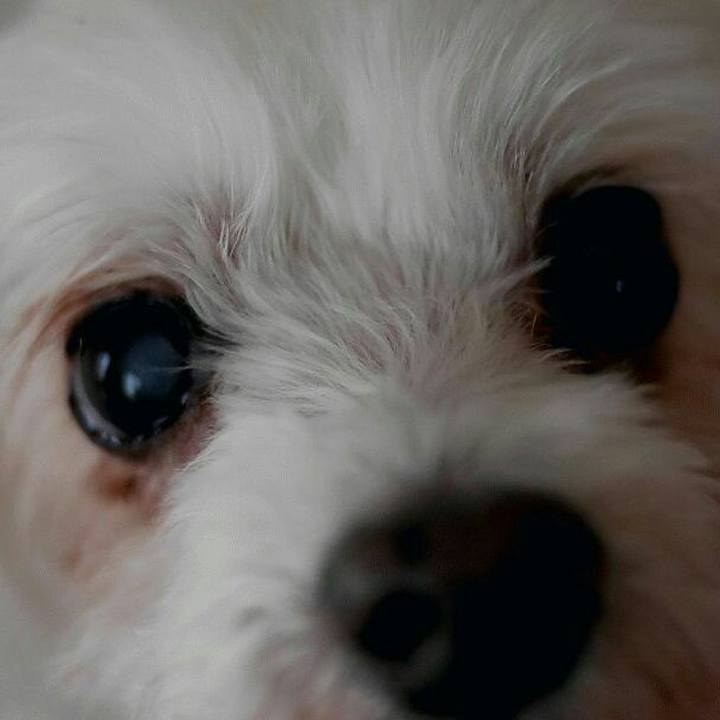 50c93548 ce12 4ef4 ad3e fea440b6c618