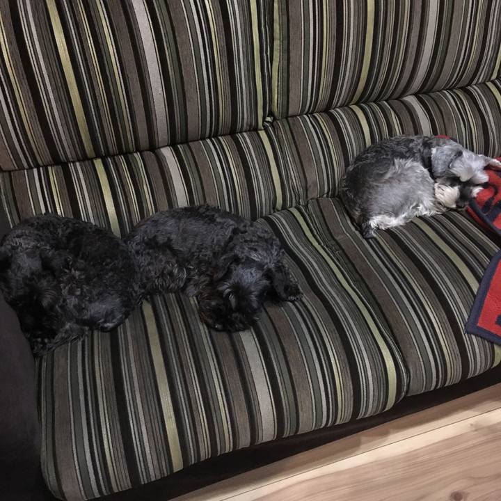 50c9f70c 3f67 4496 b12c 202d7ba877db