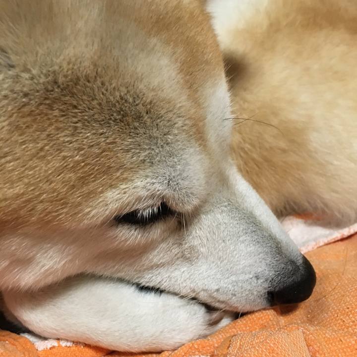 50ca13b9 a0b2 4c6e 8d63 64ccf0603254