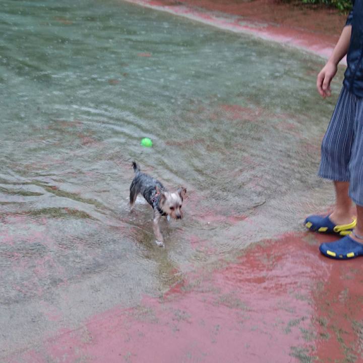 50cb126a f106 496b 9d75 ac6ce9ab761c