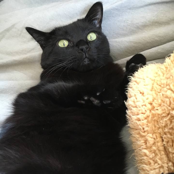 50cb9178 7409 4aec 8b5f d4f150bb4542