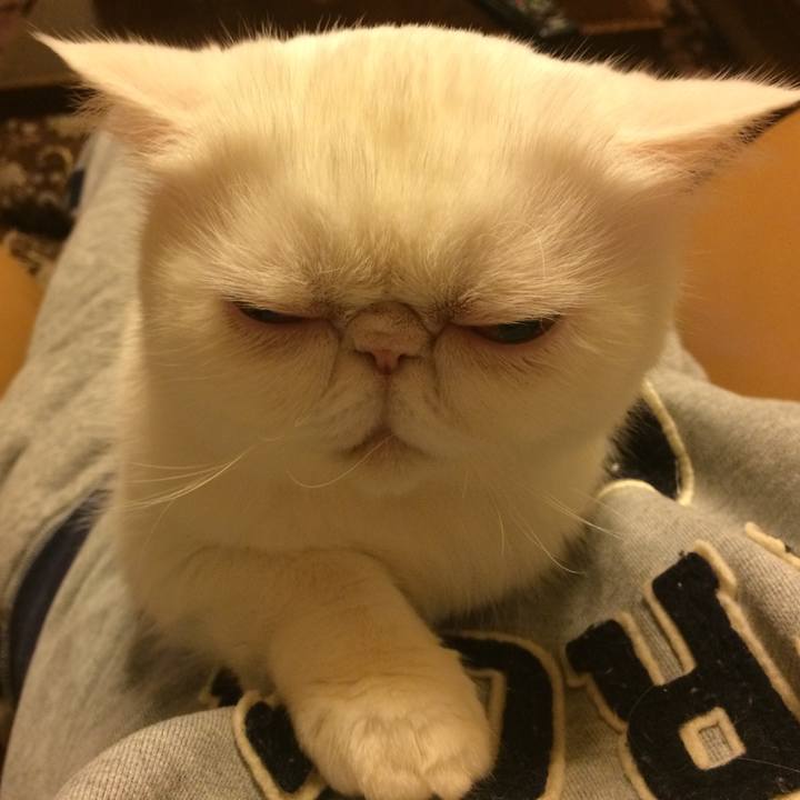 50cbf483 08c0 4d91 a79d a0b580f608e2