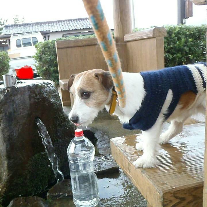 50ccd988 be0d 40cb 8899 d03d1ef39f3c