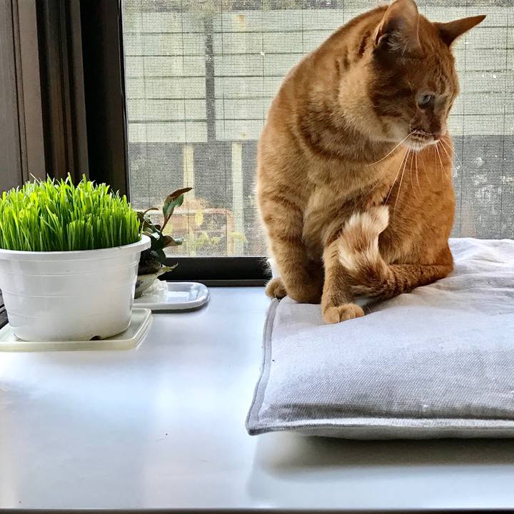 50ce3540 b14a 48d4 af6b 6de3bf241c61