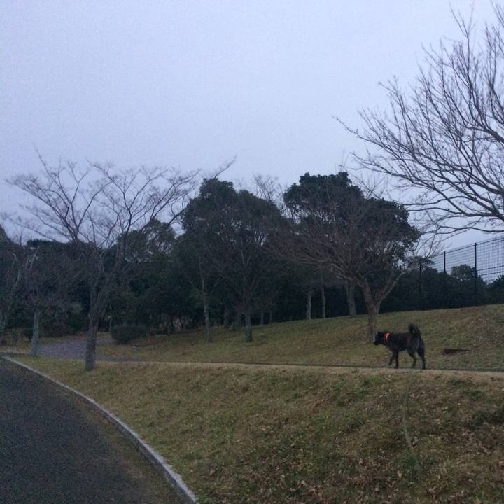 50ce557c 334b 4691 8f14 b8ebdcbcceae