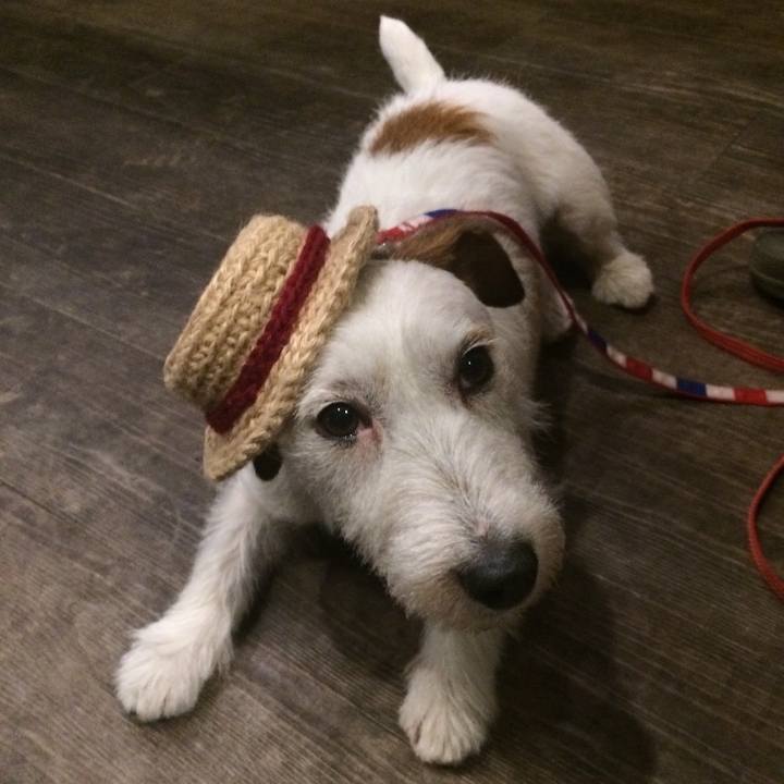 50ce97d7 7939 4c53 8cb0 81ef5605df32