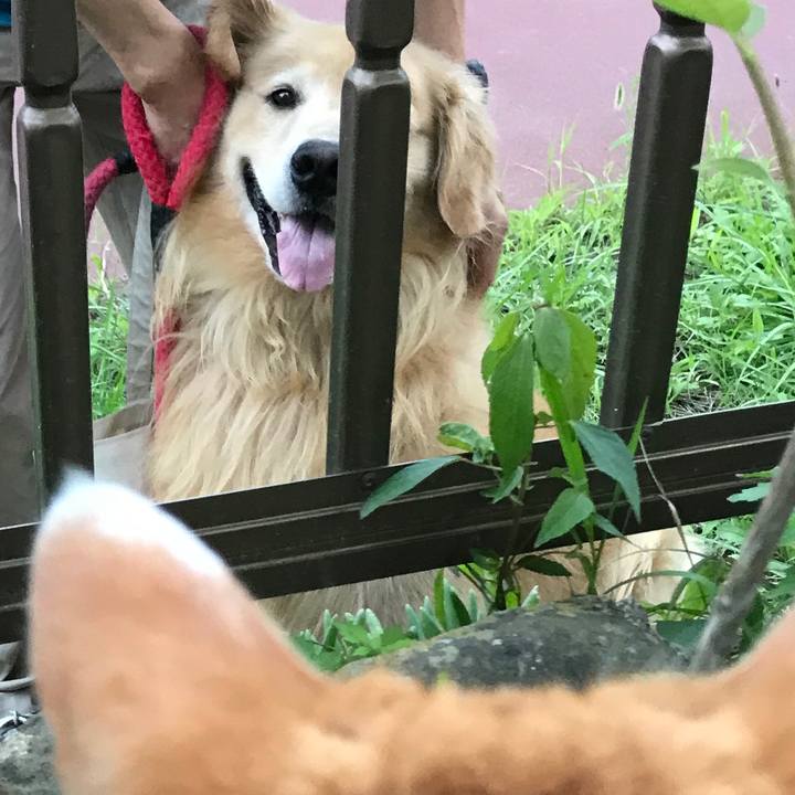 50cfa145 b535 4af3 af96 431ca8882b82