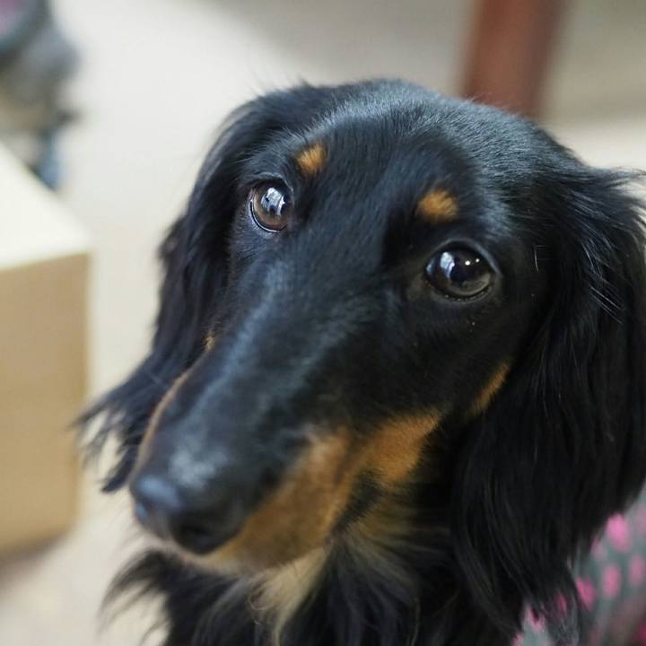 50d08099 fe62 4c2d 8252 cdca60b4360b