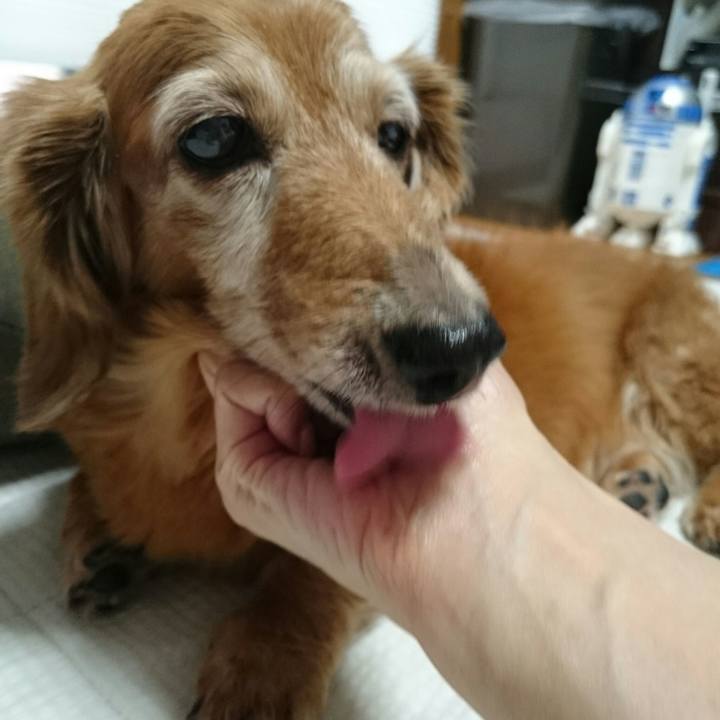 50d1530f 570f 46a0 b7ce 817f81af191d