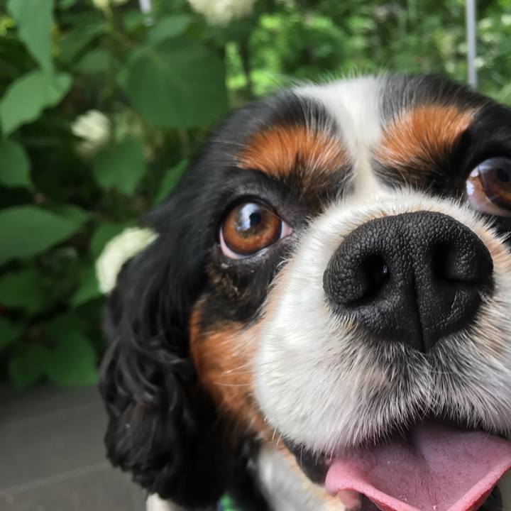 50d1e86d 5d18 43a6 acd1 a322839c6926