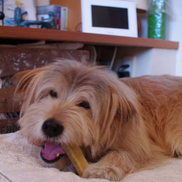 50d21cf4 fbde 465c a1d5 09fb16901090