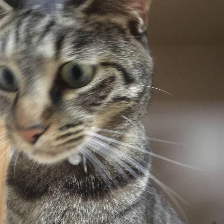 50d21ec6 67b9 4e80 84ce 2a9ea82e110d