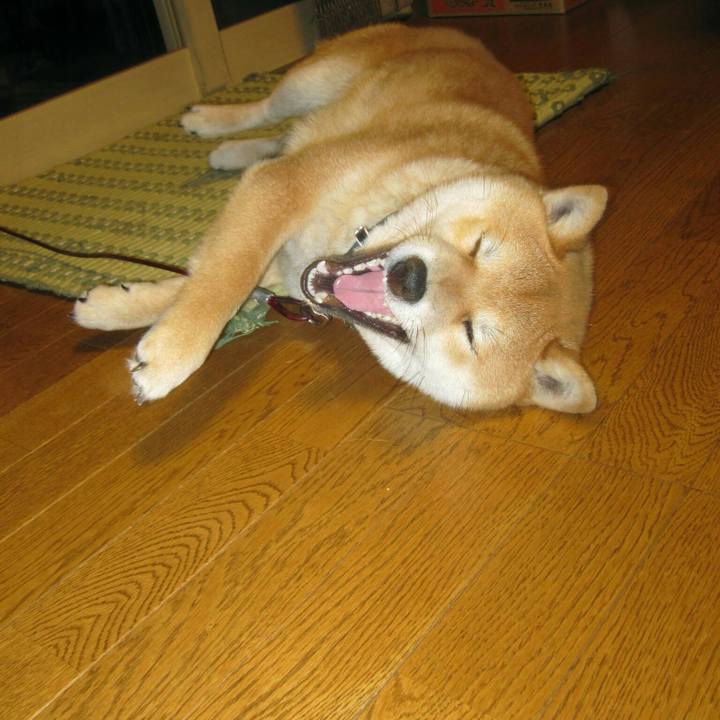 50d25427 2116 4cfd 91ae f89fb2e8cabf