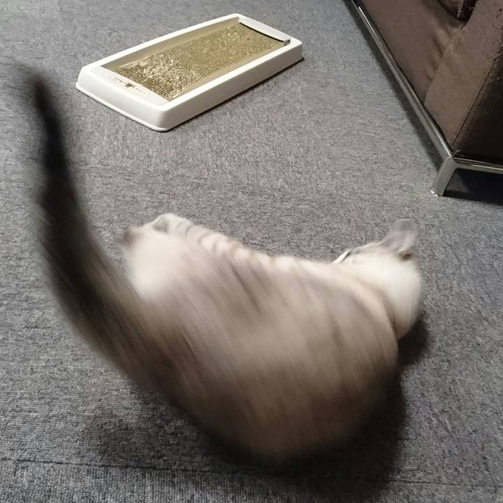 50d3ed98 12f6 4470 ac62 7585409b3035