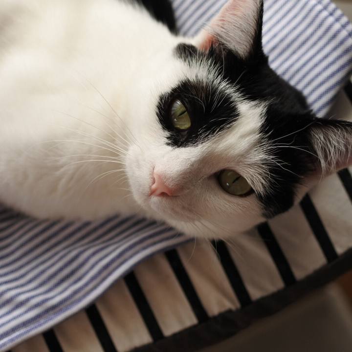 50d48b93 6b73 47e0 abbd 77b7e336ac37