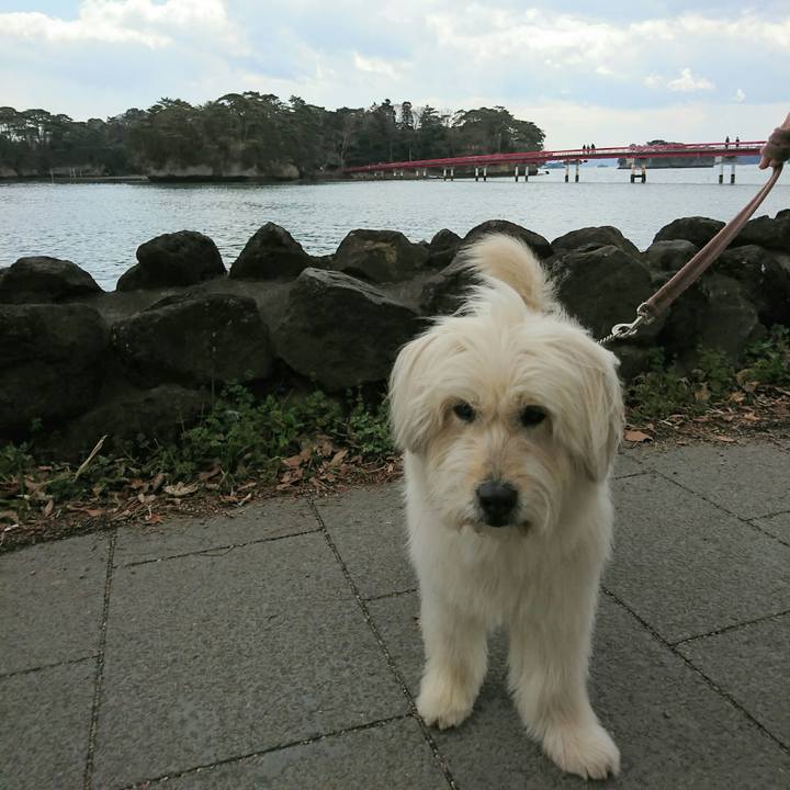 50d51d9d 90d6 4570 b126 8bcfcb05efa1