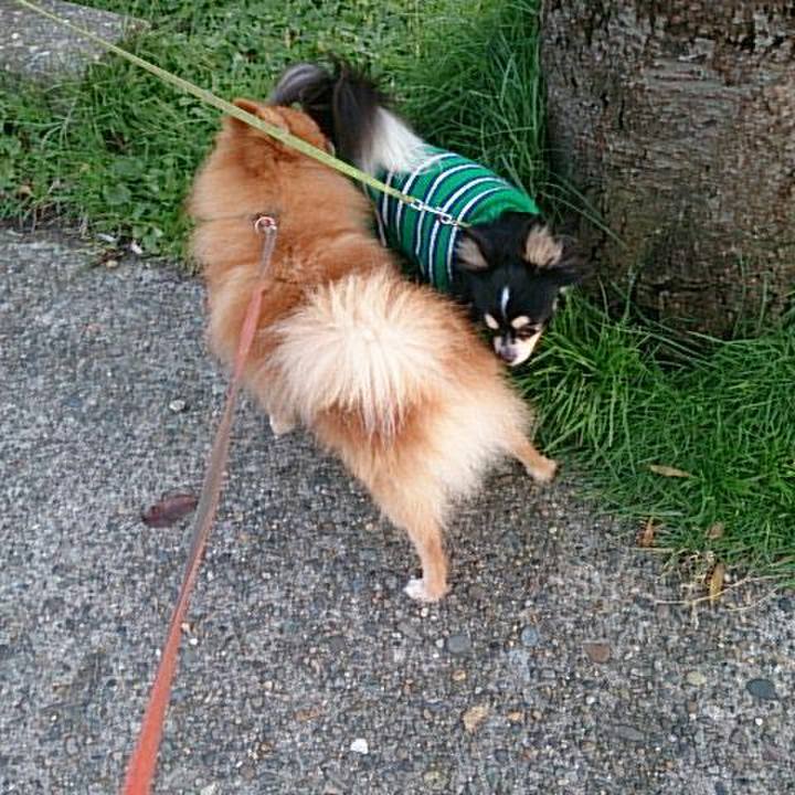 50d6d2bf a4fc 4a6d 83db 723d2de77256