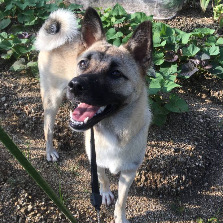 50d78924 fd90 4293 a37e e296ff2d7cce