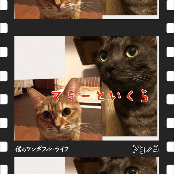 50d792b7 8b79 4936 a0e4 f4eeb03e1f66