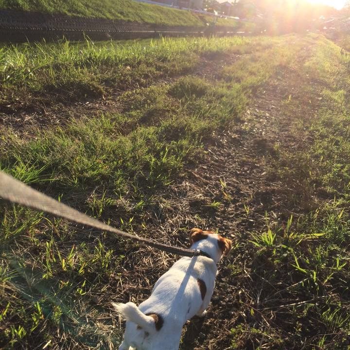 50d7c7a8 9879 41ca 8df2 f85fceb5cf44