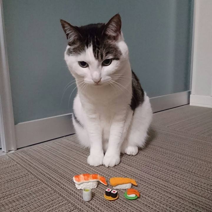 50d81fec 2417 4a00 b3b9 602a05884451