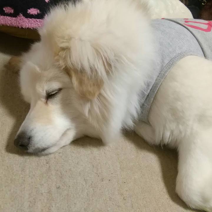 50d85f11 994a 4e3f 8cb8 9c312821e016