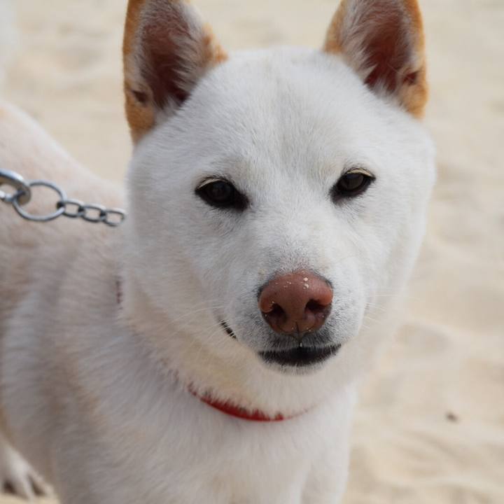 50d884ea ad1d 44fc 9d15 3a481731933d