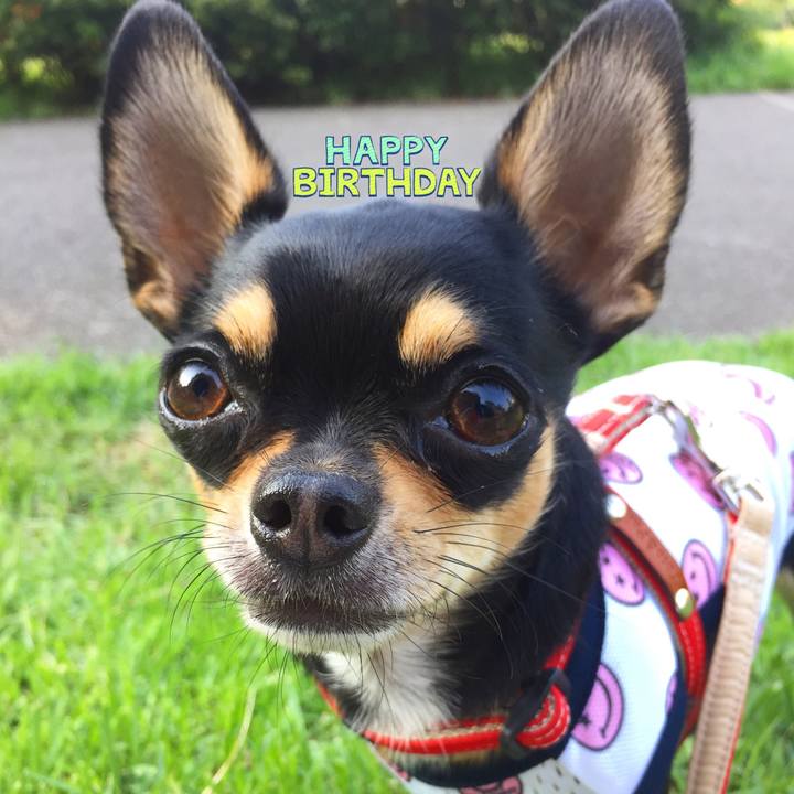 50d8fe40 ec9c 4897 b2cf f56b03918f03