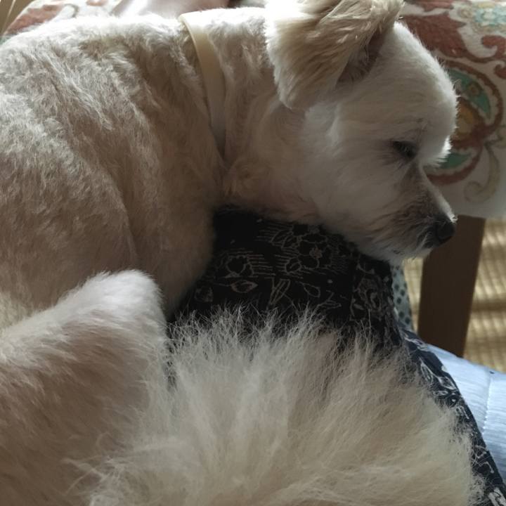 50d90b42 1400 454b b68a 2b5fbfa47a8c