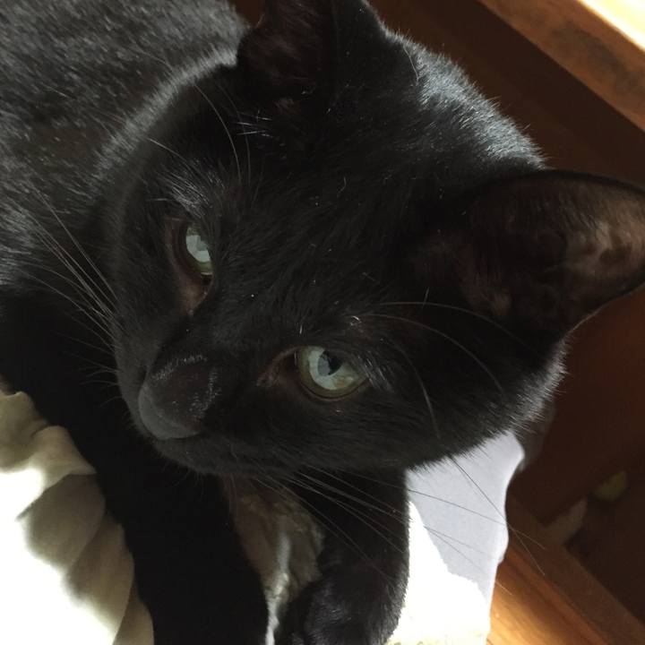 50d91a5a 7b14 48d0 ad90 291d76a54ecd