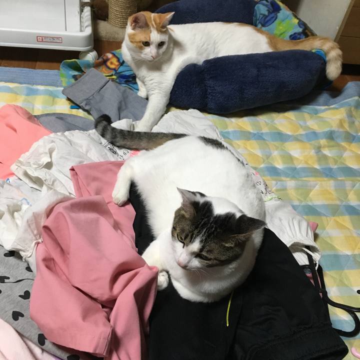 50d9594e b8b8 4a2f 88e6 3476ffc14804