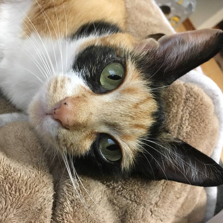 50d9731c 9012 40d5 b51b c327719465f1