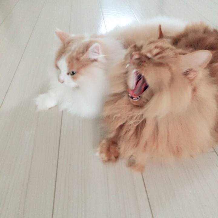 50dafb50 3849 4c71 8cfa 2b52c1259f6e