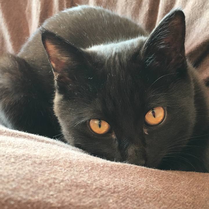 50db01bc e5b2 4fd2 b017 245c4fd0547a