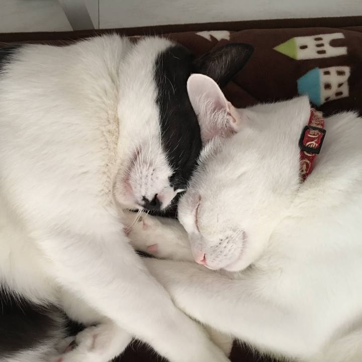 50db4c25 1557 4105 90fb 0fa3dde58b5d