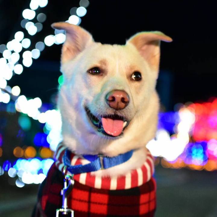 50db56fe 4251 477d a0e7 e4fbe5c5e84b