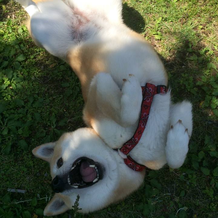 50dbc3b7 e6ef 4b58 970a bfce9e520b2b