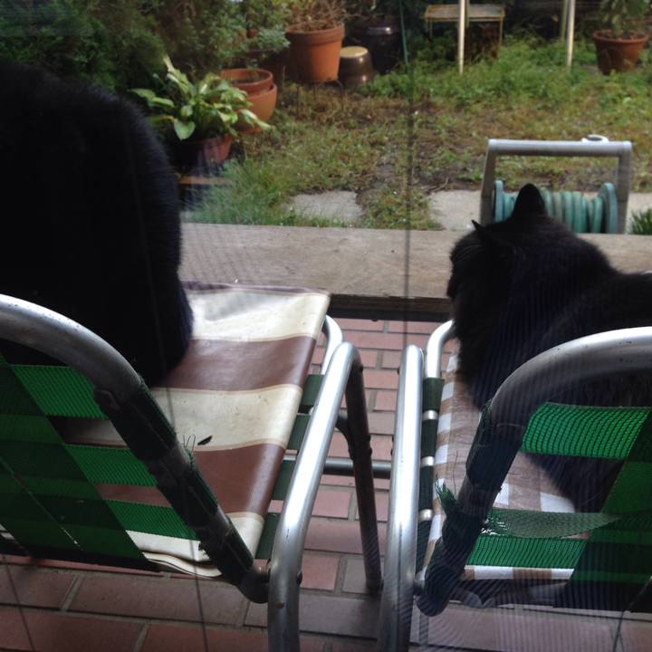 50dbcc50 a9a6 48c2 b83c 9b3924f099fe