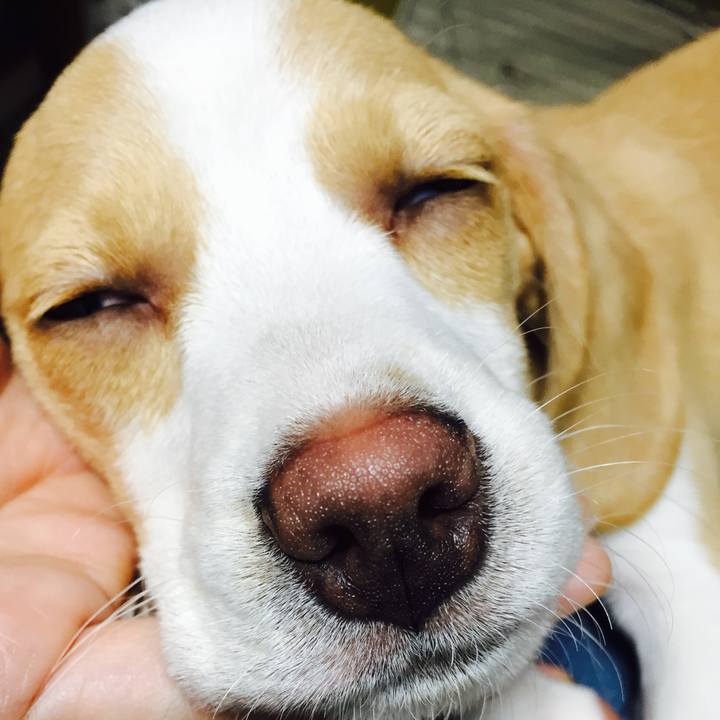 50dc9e44 c768 45d3 a10b 8ca5e98c6658