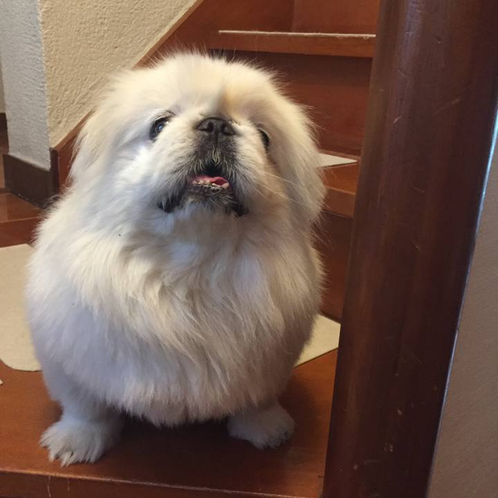 50dd95d6 f835 41dc adfa eb6f5829990d