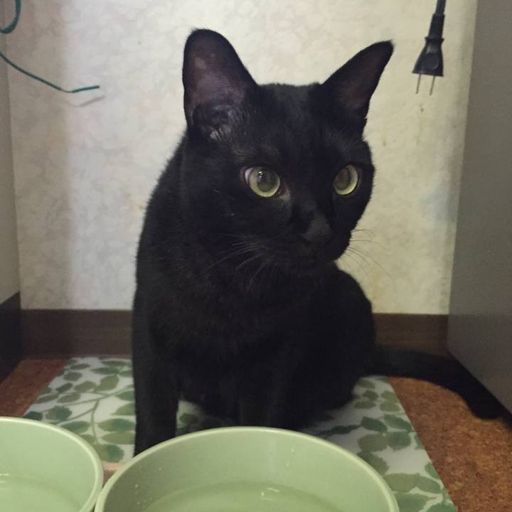 50ddcfdc 5d3a 4724 b022 ef438b798144