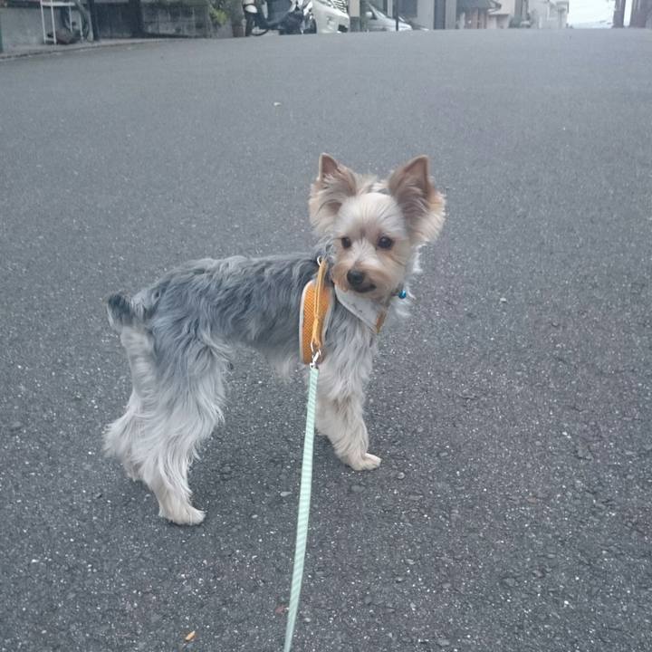 50de4aa8 10bf 49ba ac2d e5284bd98df8