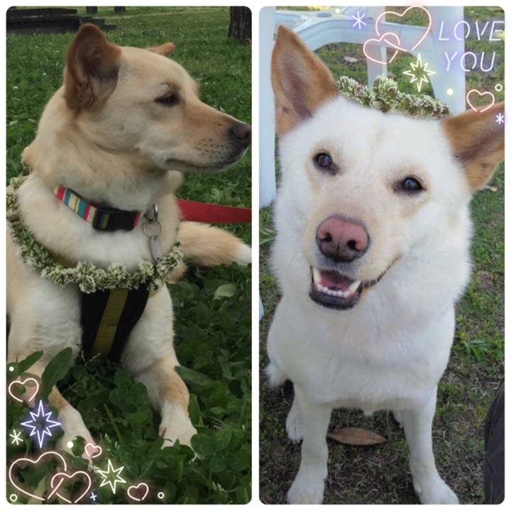 50de9485 c331 4cb7 9518 d497deeea5fa