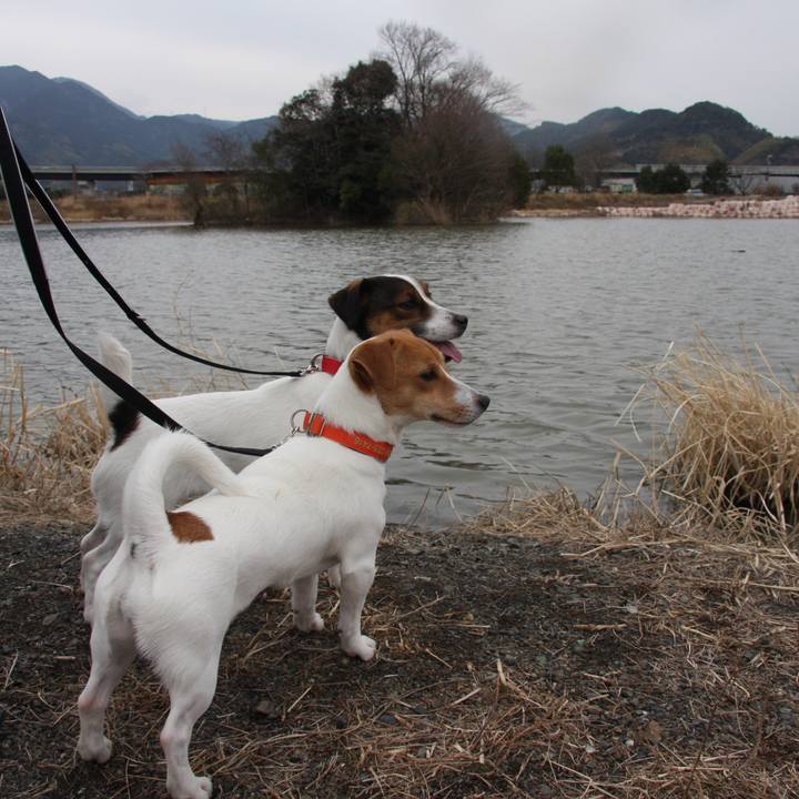 50decbe0 0cb5 4760 bd9c 91ae02656851