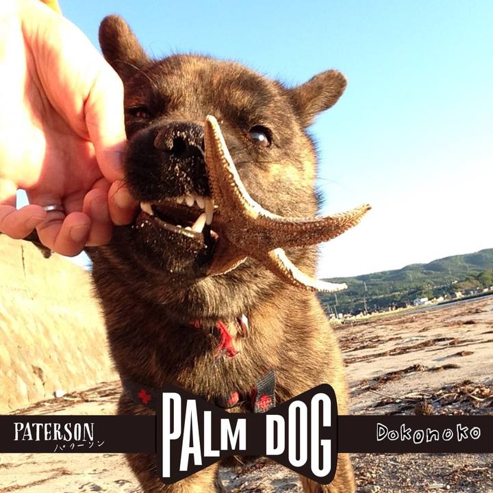 50df2984 a5cb 475b ade2 0e4ef2d33747